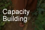 Capacity Building